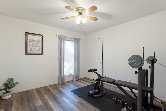 exercise area with dark hardwood / wood-style floors and ceiling fan