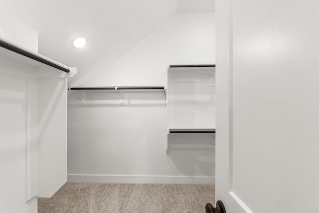 walk in closet featuring light carpet