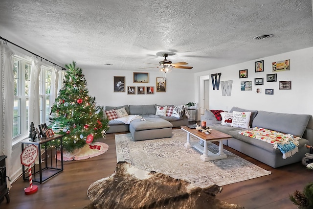 living room featuring wood-type flooring, a textured ceiling, and ceiling fan