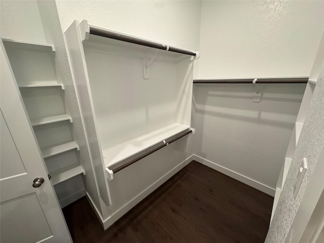 walk in closet featuring dark wood-type flooring