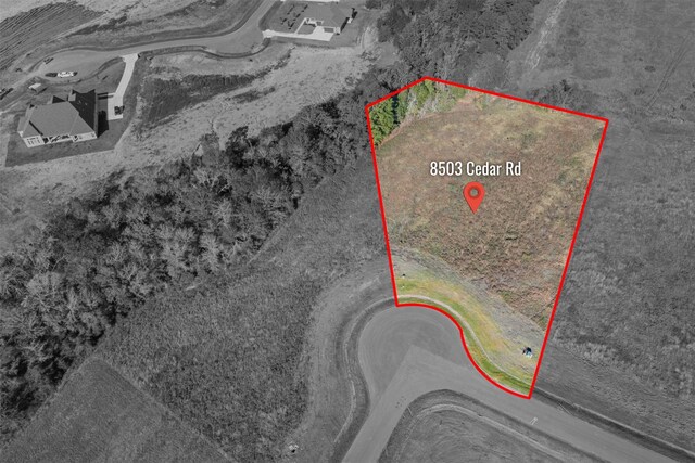 8503 Cedar Rd, Plantersville, TX 77363 - photo 2