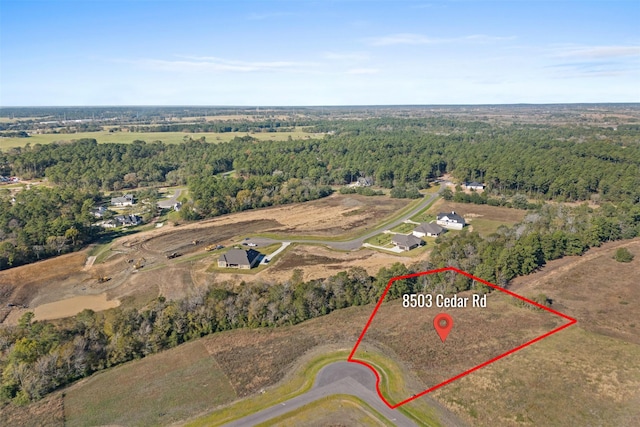 8503 Cedar Rd, Plantersville, TX 77363 - photo 3
