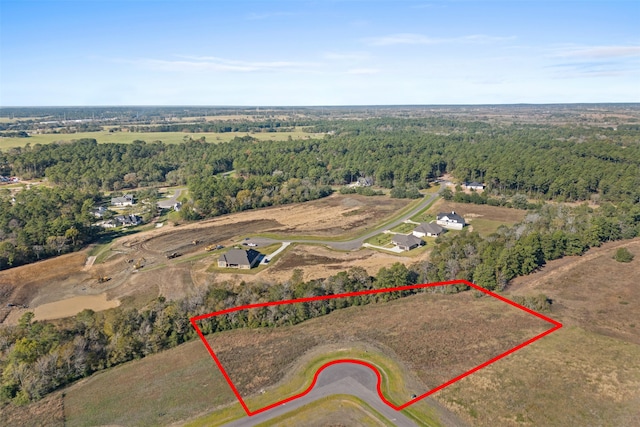 8503 Cedar Rd, Plantersville, TX 77363 - photo 5