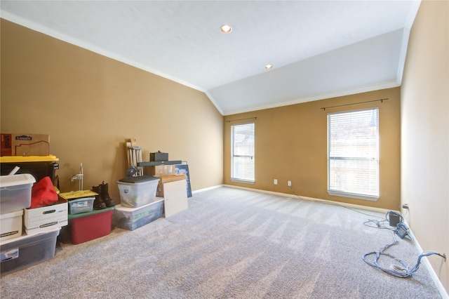 interior space with carpet, a wealth of natural light, and lofted ceiling