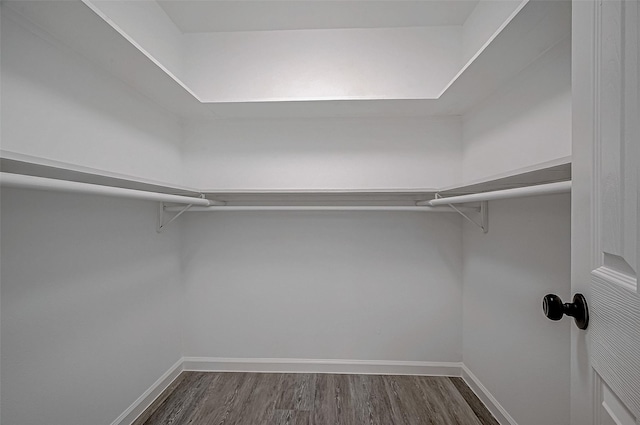 walk in closet featuring dark hardwood / wood-style flooring