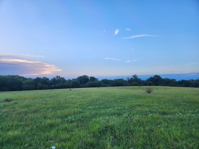 18081 Wellmann Rd, Washington, TX 77880 - photo 9