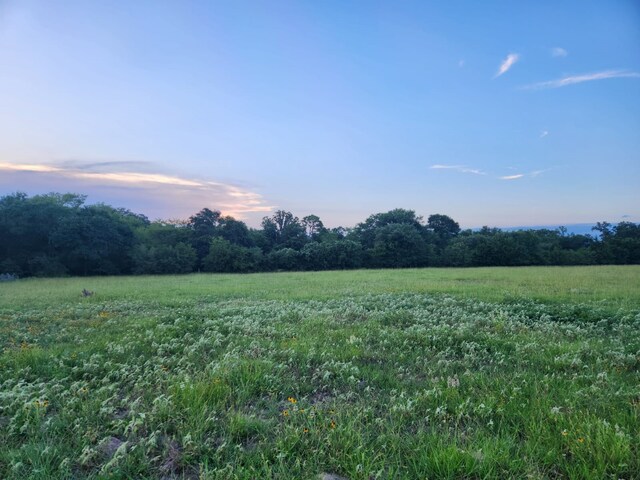 18081 Wellmann Rd, Washington, TX 77880 - photo 8
