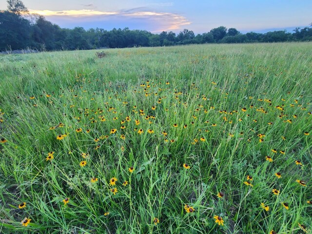 18081 Wellmann Rd, Washington, TX 77880 - photo 10