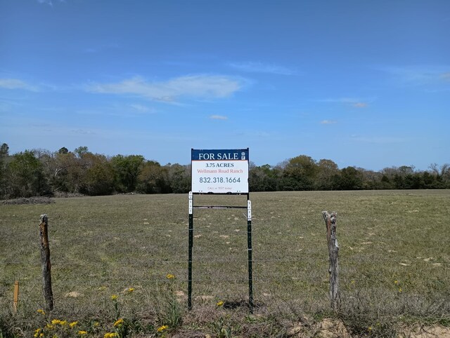 18081 Wellmann Rd, Washington, TX 77880 - photo 18