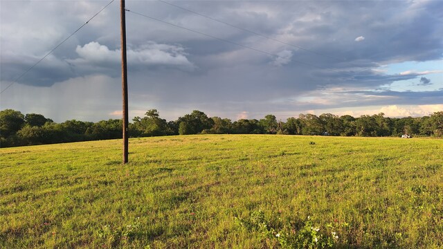 18081 Wellmann Rd, Washington, TX 77880 - photo 2