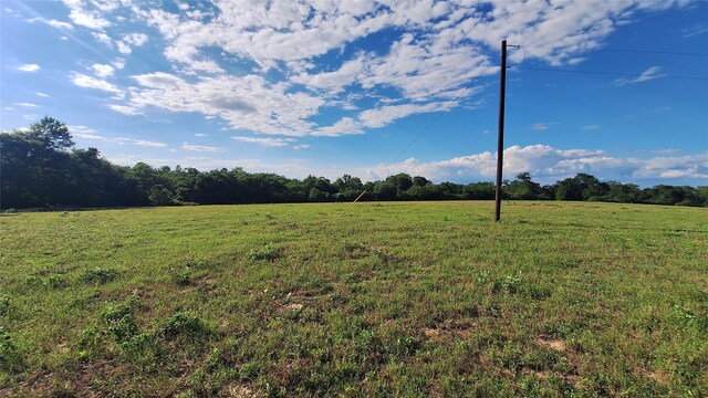 18081 Wellmann Rd, Washington, TX 77880 - photo 3