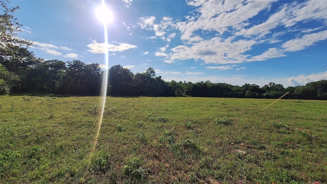 18081 Wellmann Rd, Washington, TX 77880 - photo 4