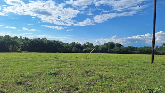 18081 Wellmann Rd, Washington, TX 77880 - photo 5