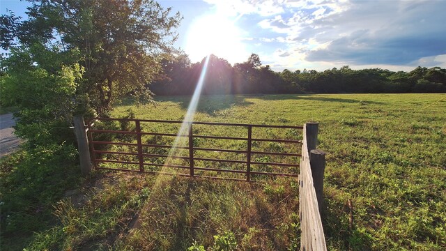 18081 Wellmann Rd, Washington, TX 77880 - photo 16