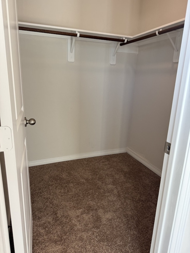 spacious closet featuring carpet flooring