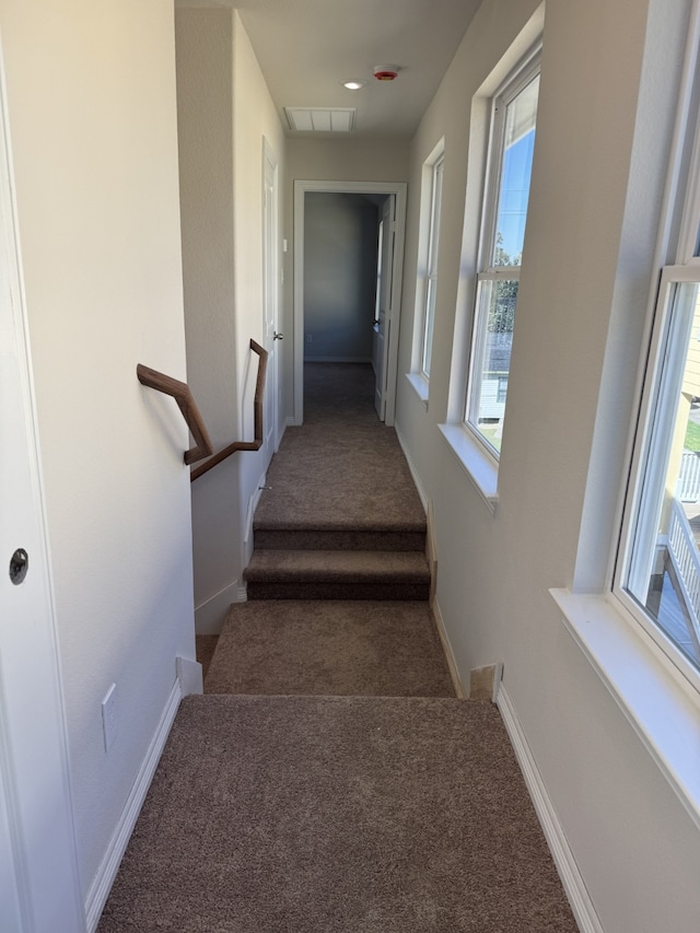 staircase with carpet