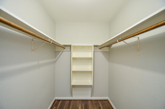 walk in closet with dark hardwood / wood-style flooring