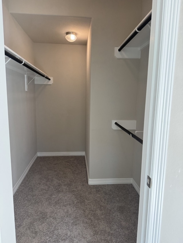 walk in closet with carpet