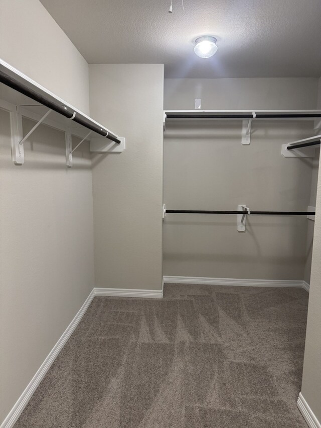 walk in closet featuring dark carpet