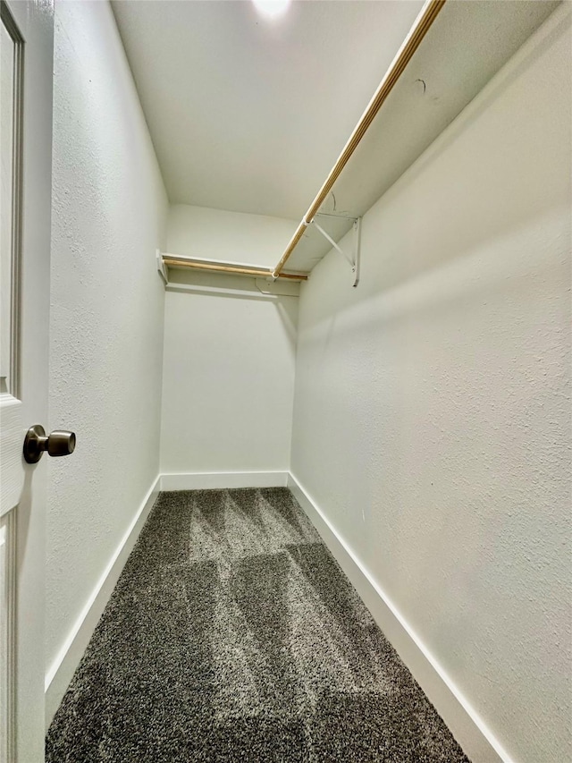 walk in closet with carpet floors