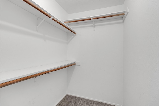 spacious closet with carpet floors