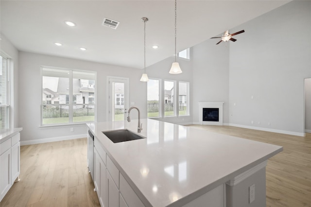 kitchen with light hardwood / wood-style flooring, sink, a wealth of natural light, and an island with sink