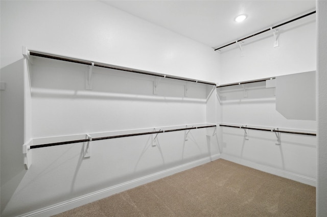 spacious closet featuring light colored carpet