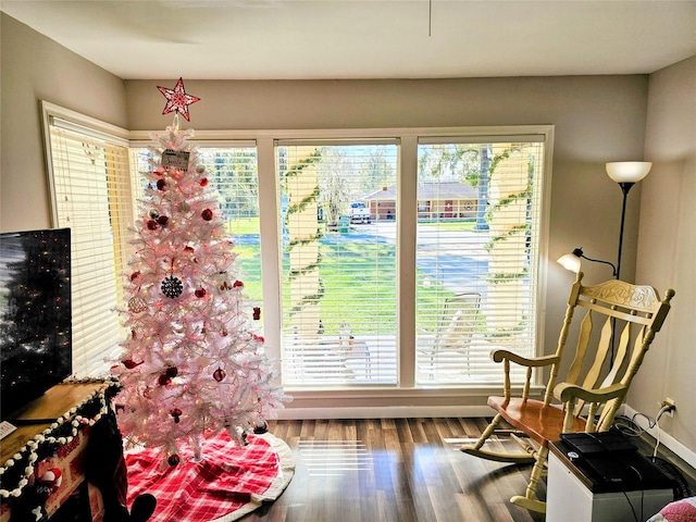 interior space featuring hardwood / wood-style flooring and plenty of natural light