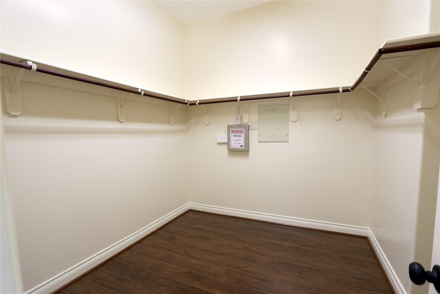 walk in closet with dark wood-type flooring