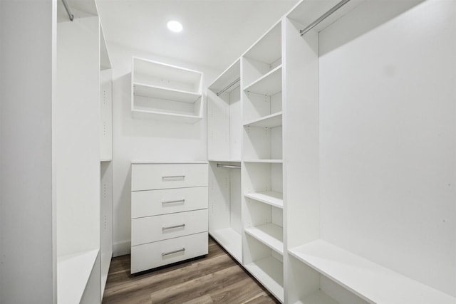 spacious closet featuring dark wood-type flooring