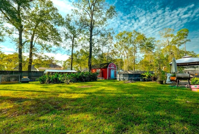 view of yard featuring a shed