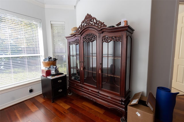 room details with crown molding and hardwood / wood-style floors