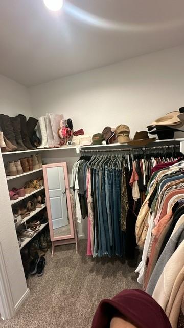 walk in closet with dark colored carpet