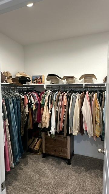 spacious closet with dark carpet