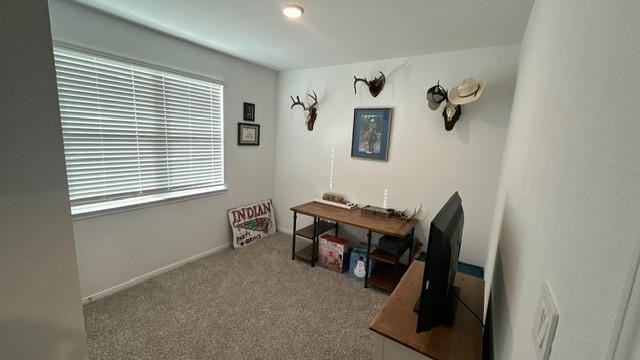 miscellaneous room featuring light colored carpet