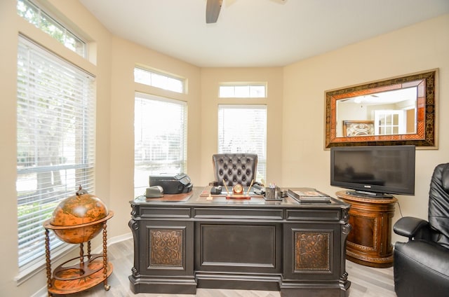 office area featuring ceiling fan, a healthy amount of sunlight, and light hardwood / wood-style flooring