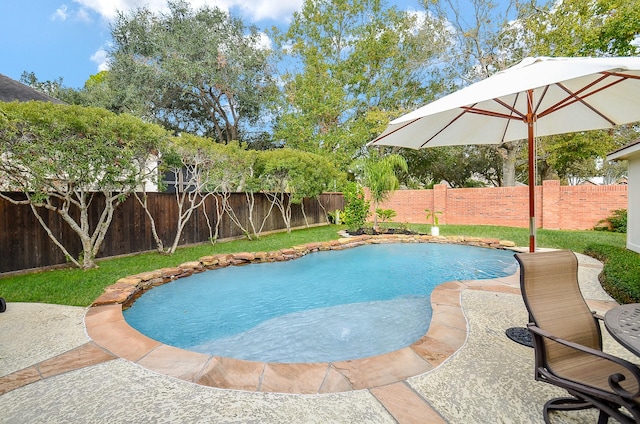 view of swimming pool