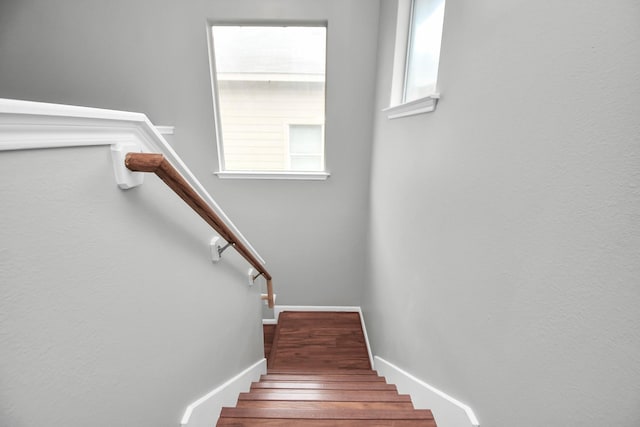 staircase featuring wood-type flooring