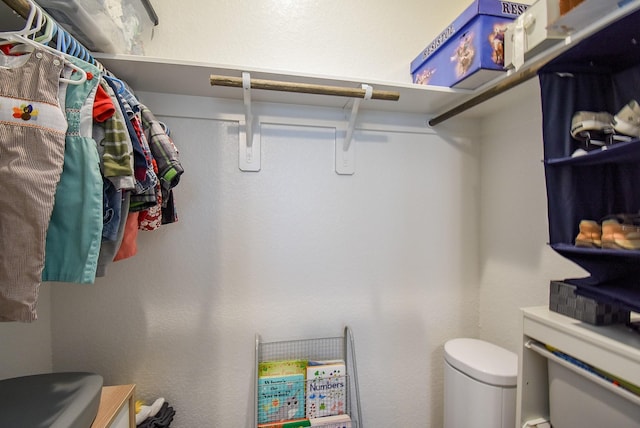 view of spacious closet