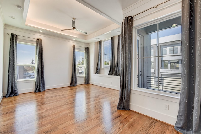 unfurnished room featuring plenty of natural light, a raised ceiling, and light hardwood / wood-style flooring