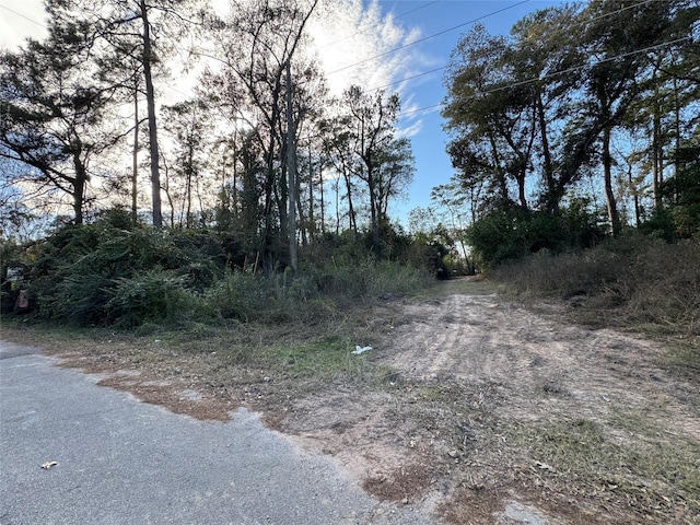 TBD Hickory Ln, Splendora, TX 77372