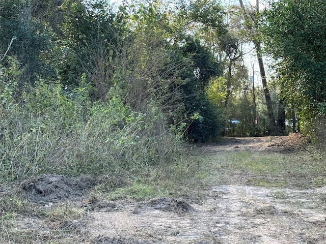 TBD Hickory Ln, Splendora, TX 77372
