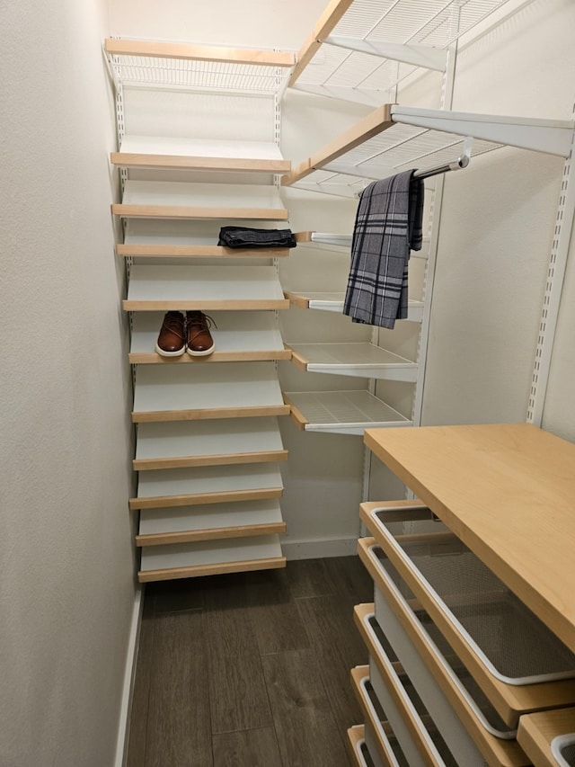 spacious closet featuring dark wood-type flooring