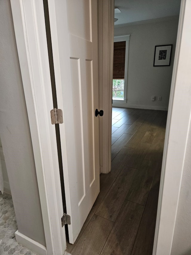 hallway with wood-type flooring