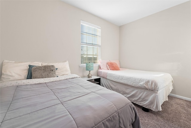 bedroom featuring carpet flooring