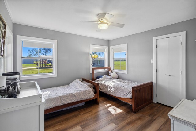 bedroom with ceiling fan and dark wood-type flooring