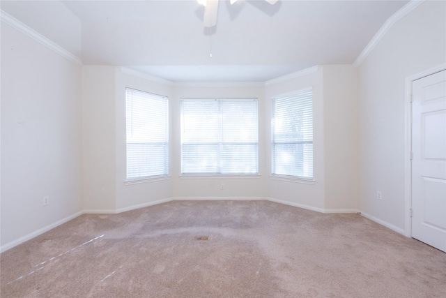 carpeted spare room featuring ceiling fan and ornamental molding