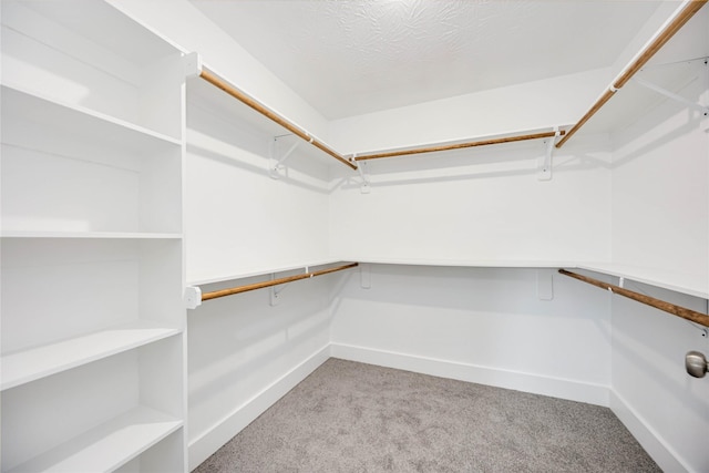 spacious closet featuring light colored carpet