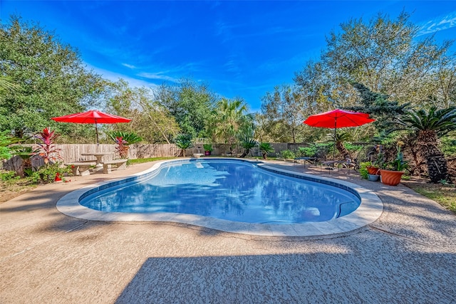 view of pool with a patio