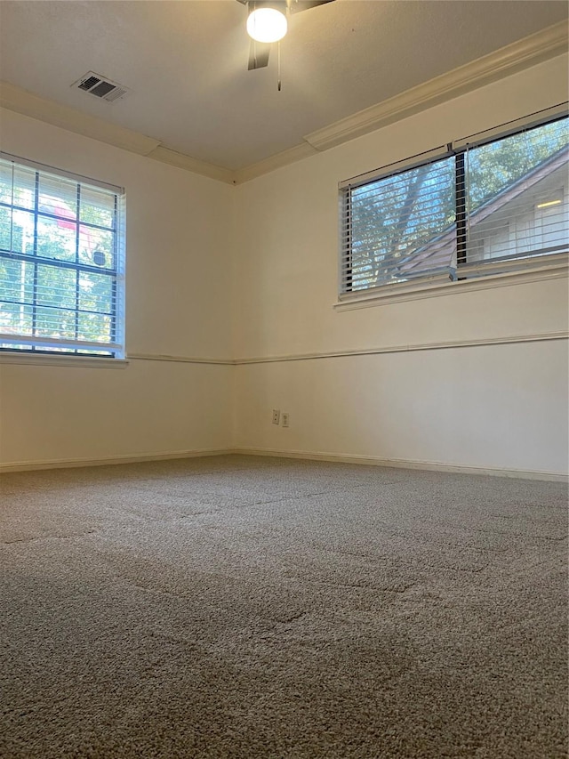 carpeted spare room with ceiling fan and ornamental molding